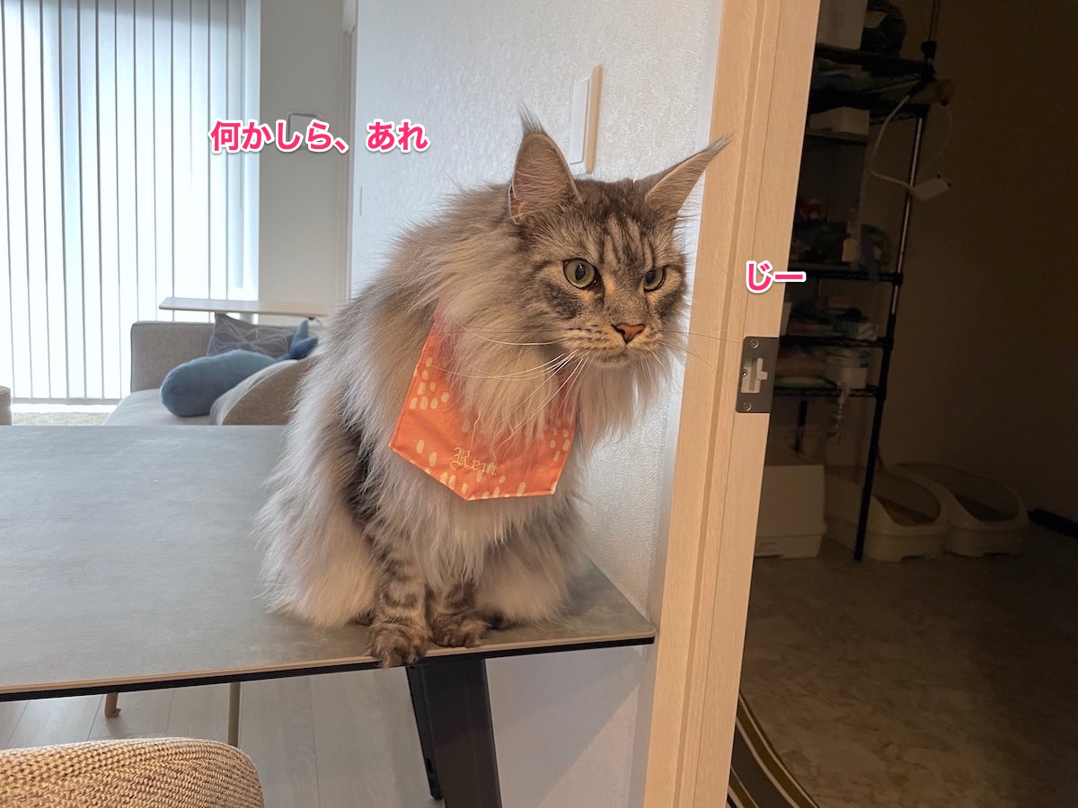 f:id:chikojirou:20210828210706j:plain