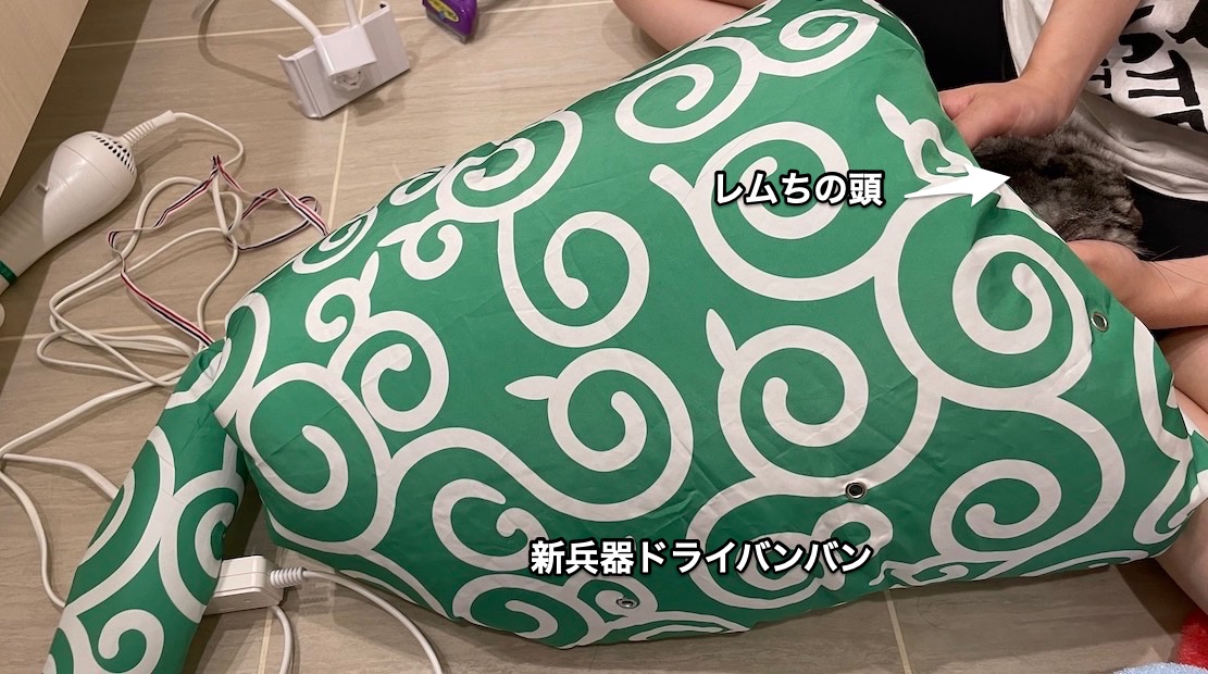 f:id:chikojirou:20210828210716j:plain