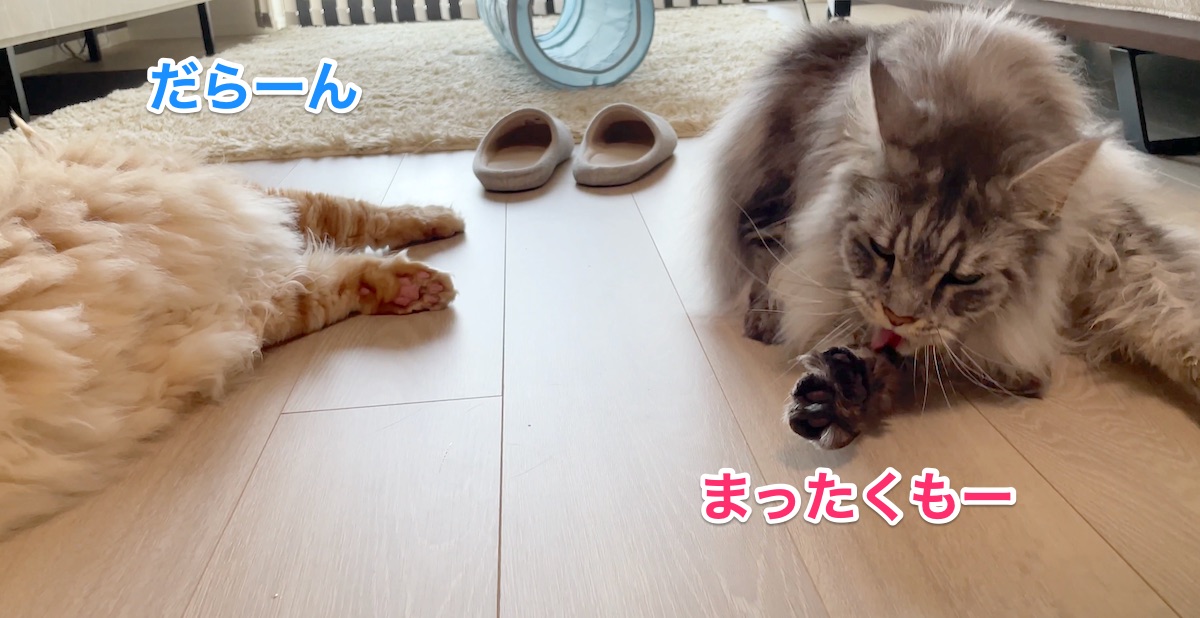 f:id:chikojirou:20210828210722j:plain