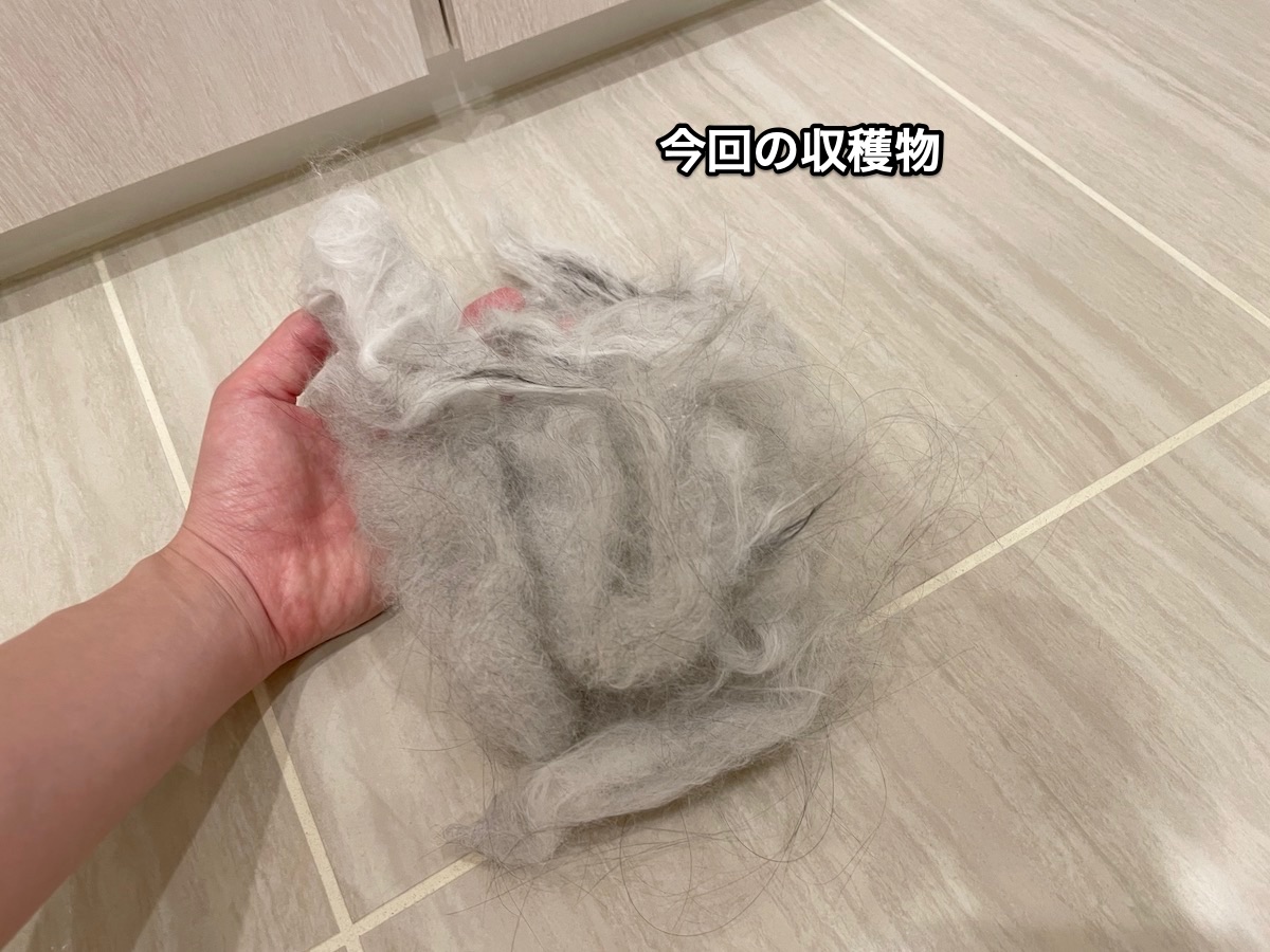 f:id:chikojirou:20210828210725j:plain