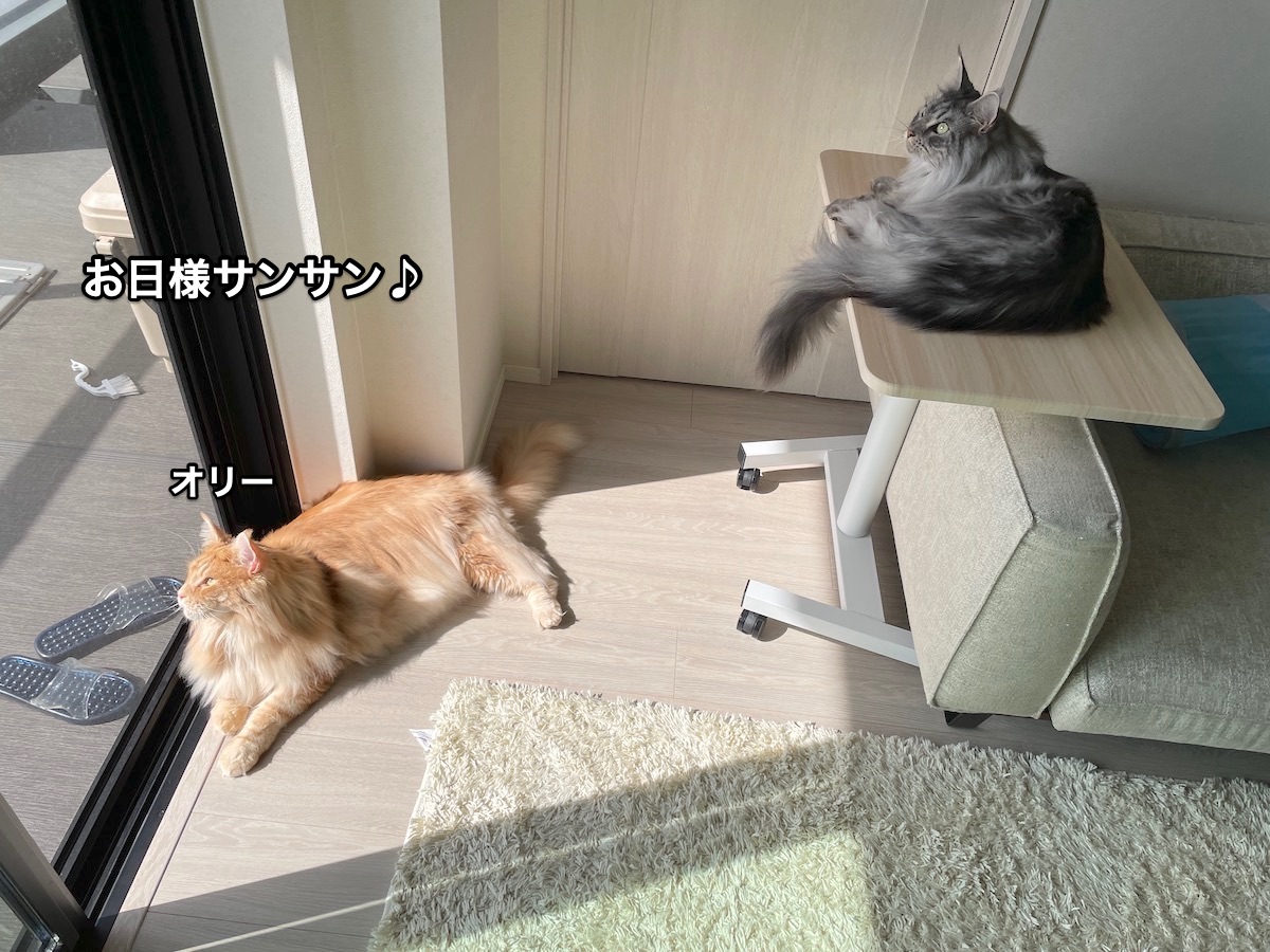 f:id:chikojirou:20210907210544j:plain