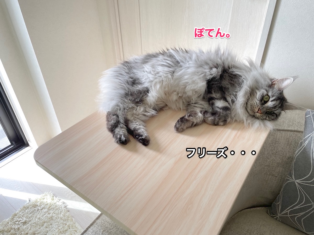 f:id:chikojirou:20210908211654j:plain