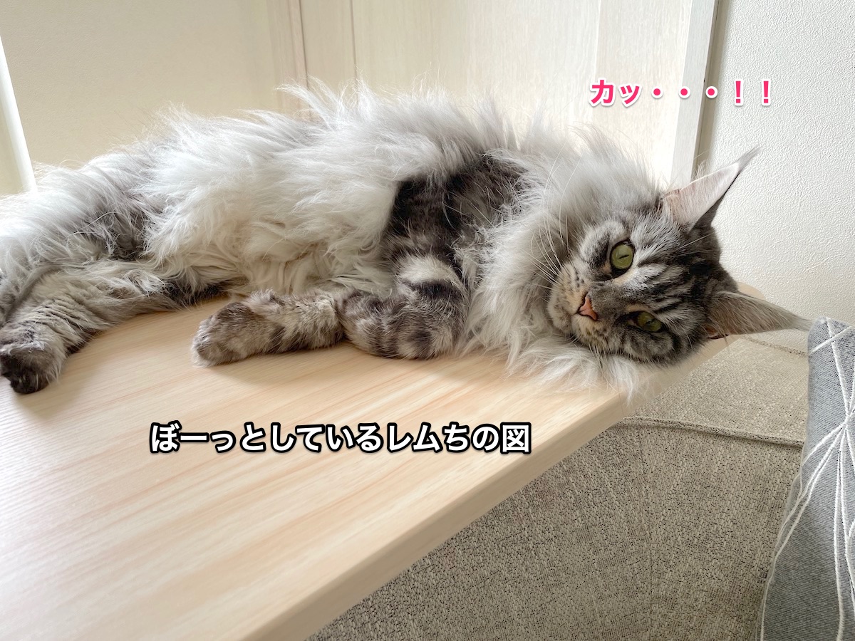 f:id:chikojirou:20210908212040j:plain