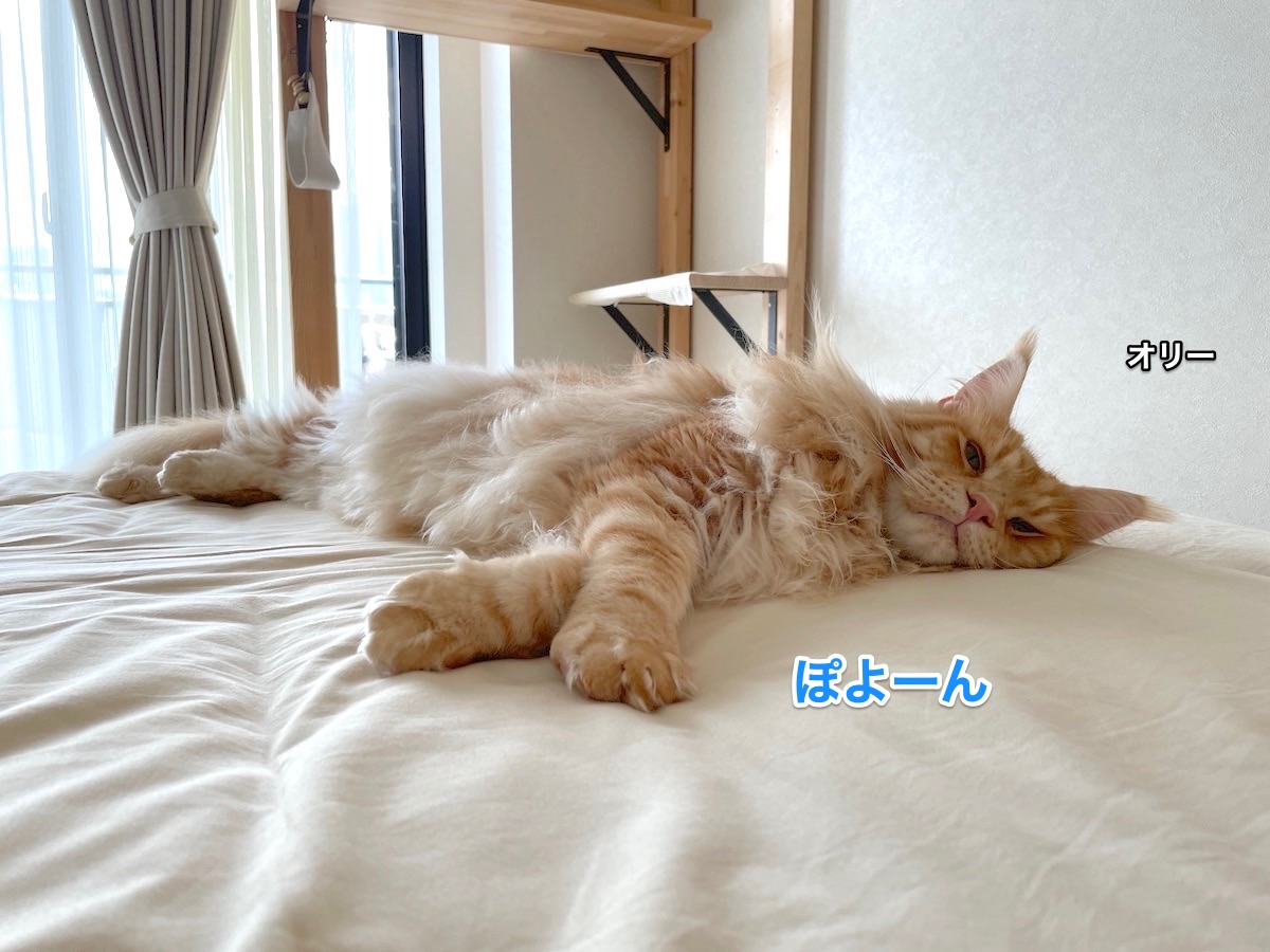 f:id:chikojirou:20210910204809j:plain