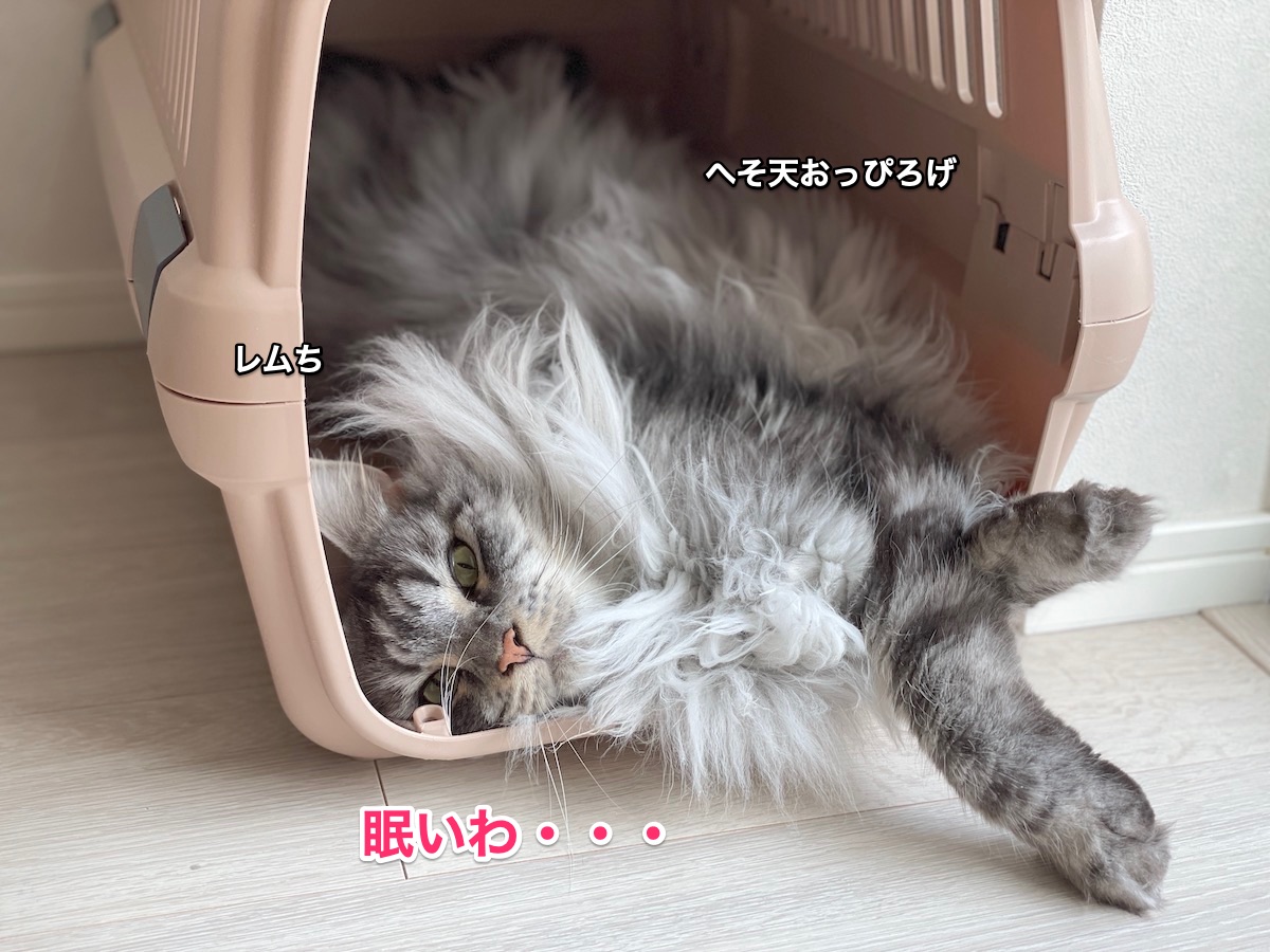 f:id:chikojirou:20210910204814j:plain