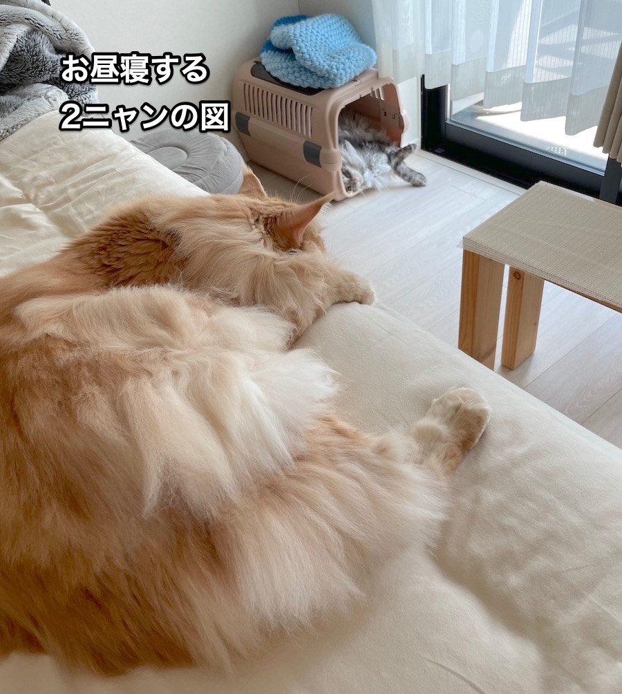 f:id:chikojirou:20210910204819j:plain