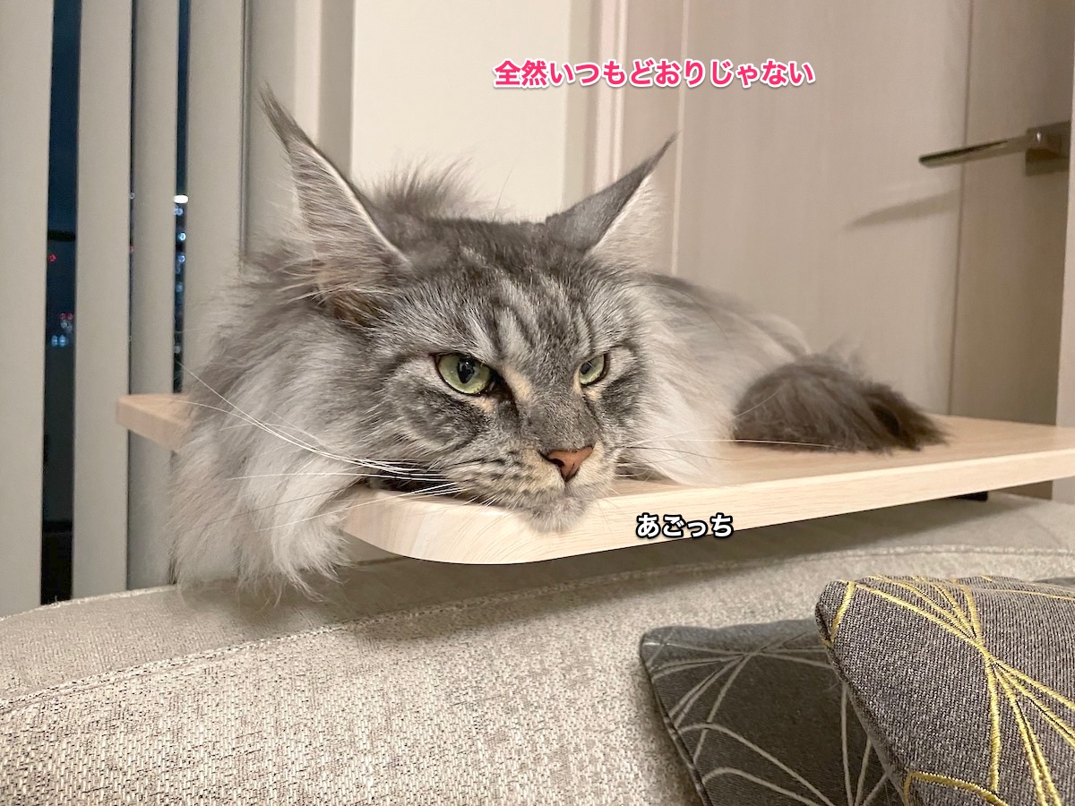 f:id:chikojirou:20210910204822j:plain