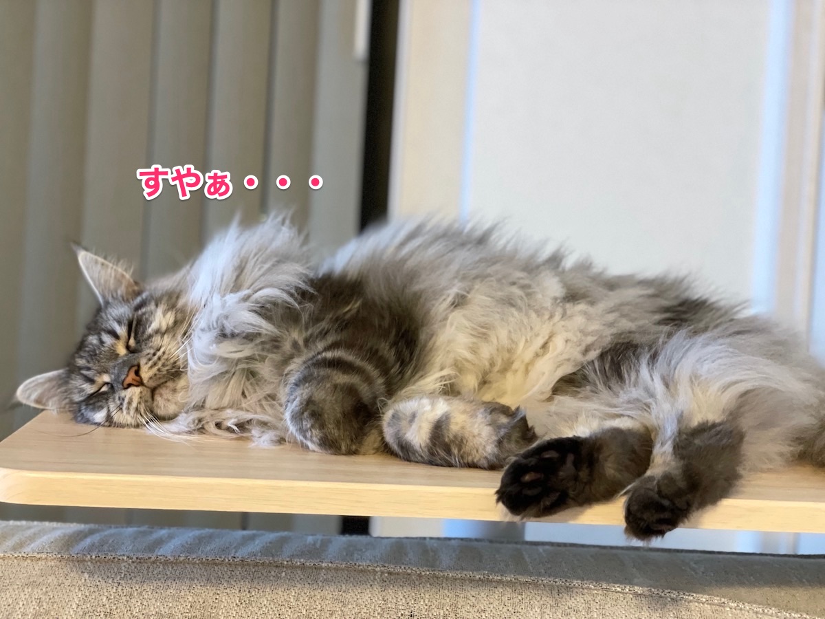 f:id:chikojirou:20210915215830j:plain