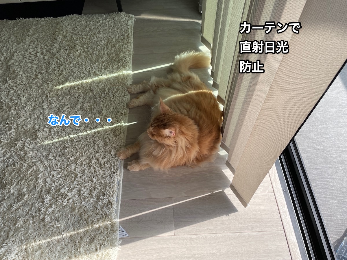 f:id:chikojirou:20210916210403j:plain