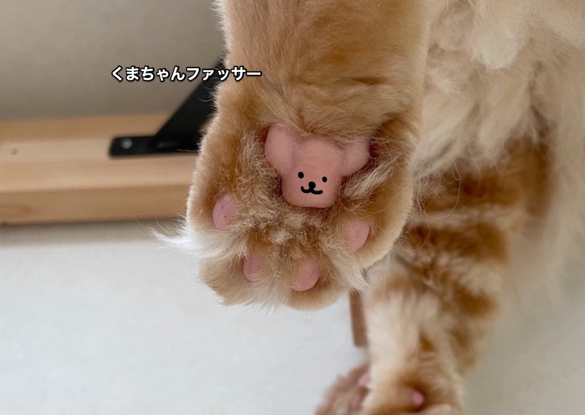 f:id:chikojirou:20210918210320j:plain
