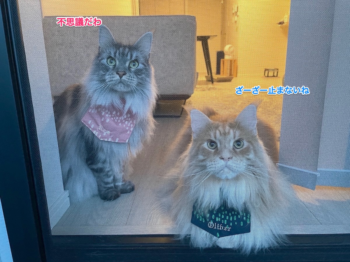 f:id:chikojirou:20210918210333j:plain