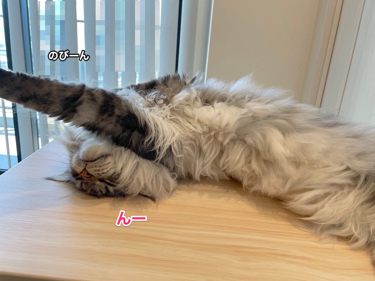f:id:chikojirou:20210919211222j:plain