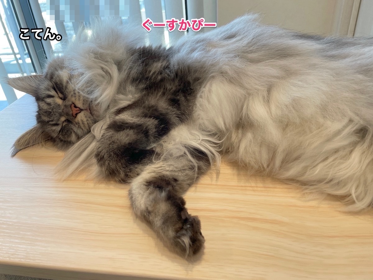 f:id:chikojirou:20210919211225j:plain