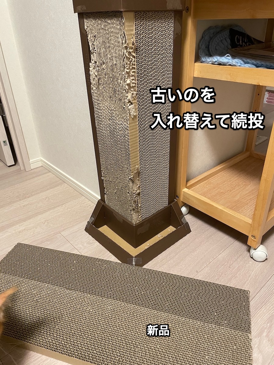 f:id:chikojirou:20210919211233j:plain