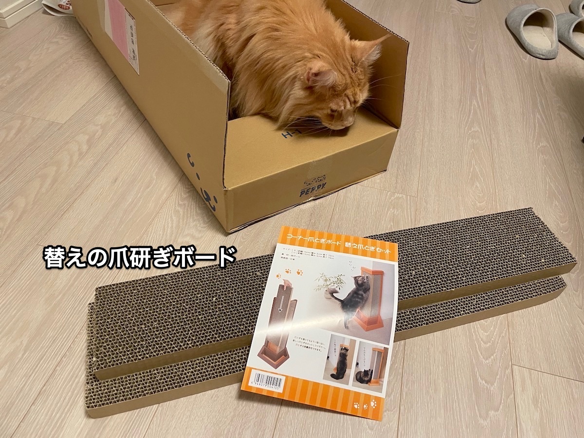 f:id:chikojirou:20210919211235j:plain