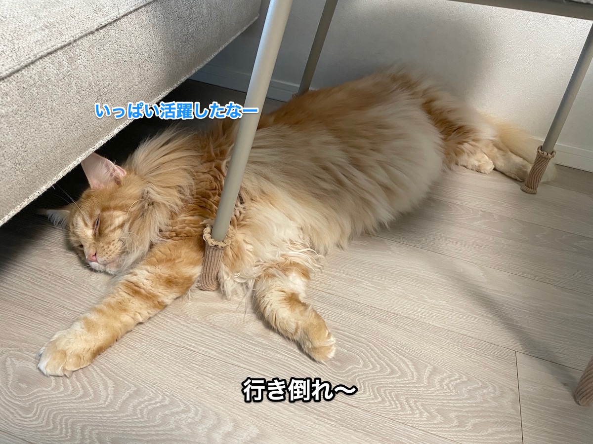 f:id:chikojirou:20210925205010j:plain