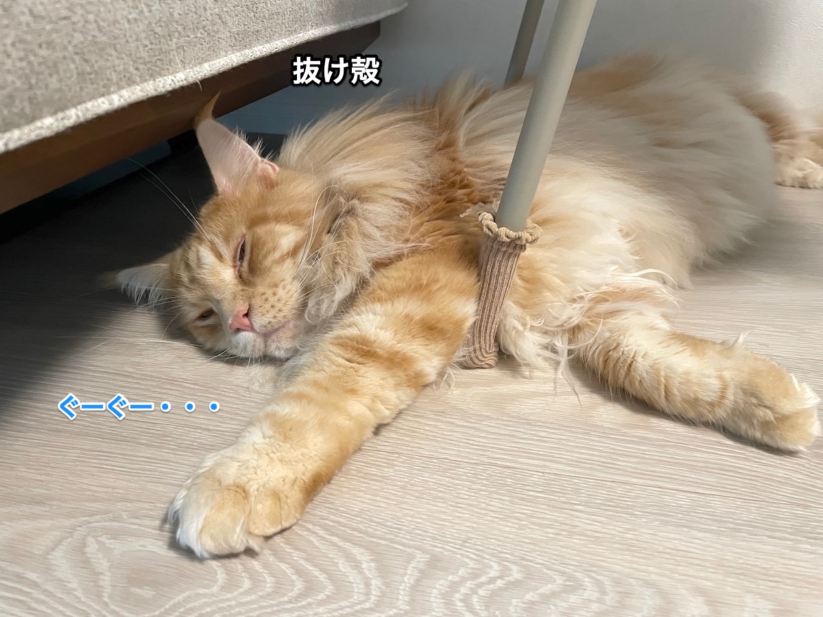 f:id:chikojirou:20210925205013j:plain