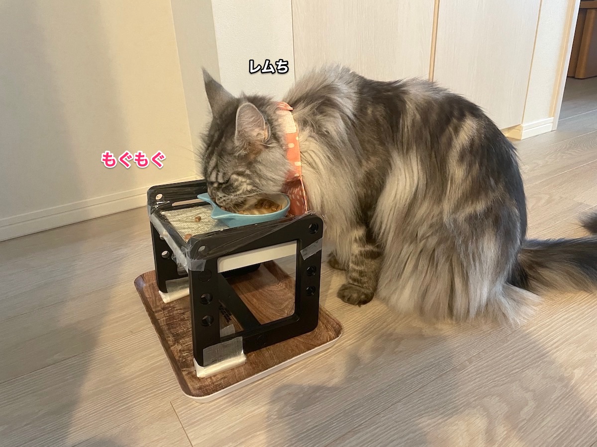 f:id:chikojirou:20210927211424j:plain