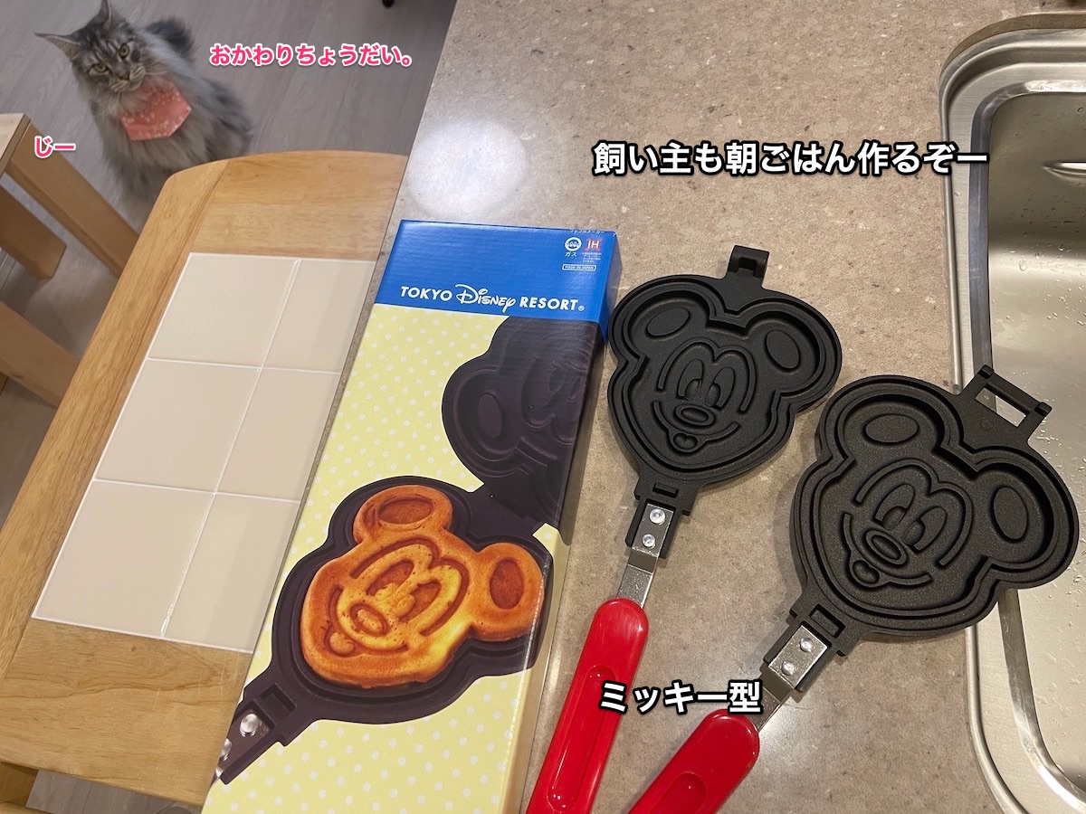 f:id:chikojirou:20210927211426j:plain