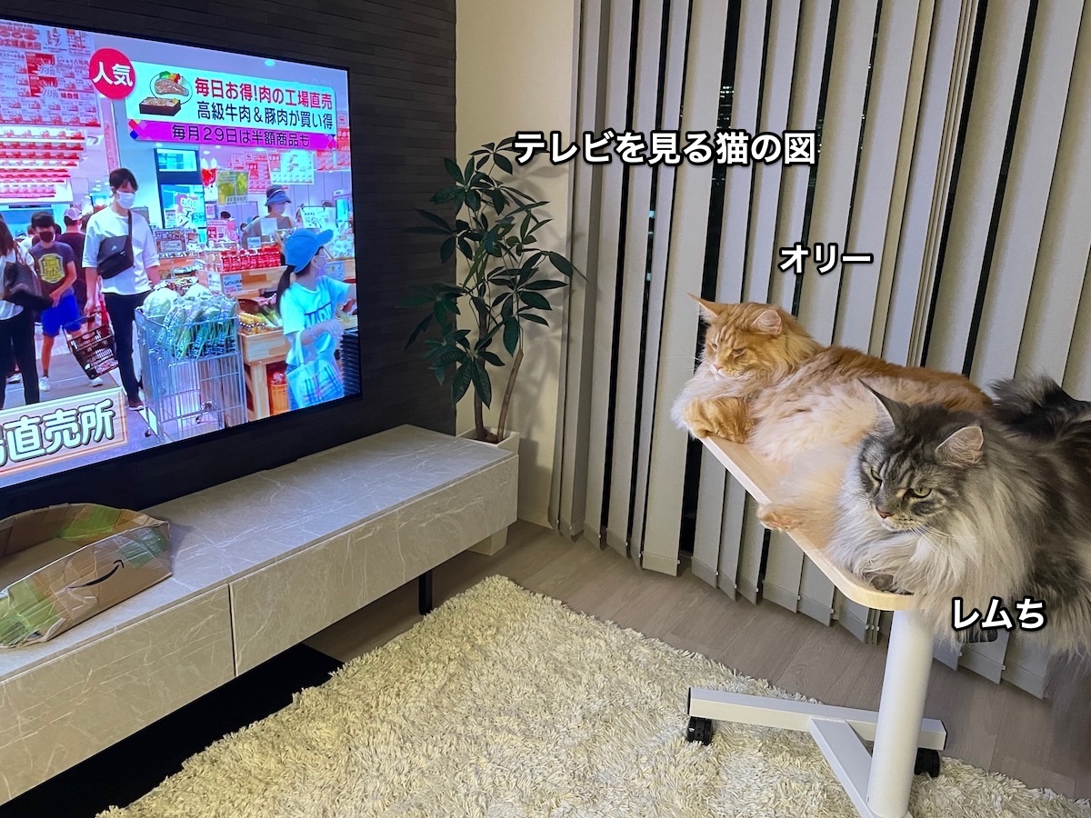 f:id:chikojirou:20210929182717j:plain