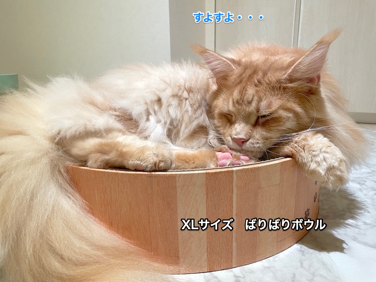 f:id:chikojirou:20210929182732j:plain