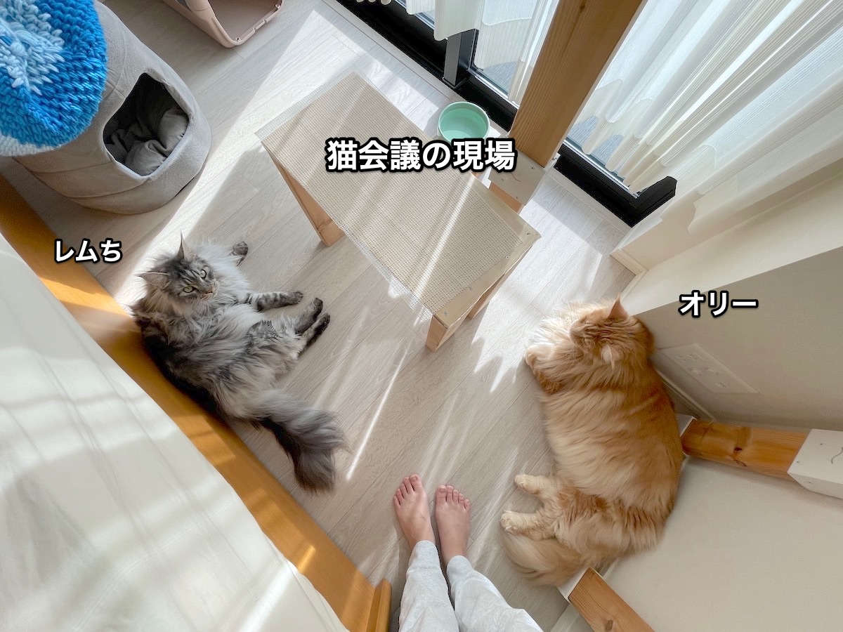 f:id:chikojirou:20210930215826j:plain