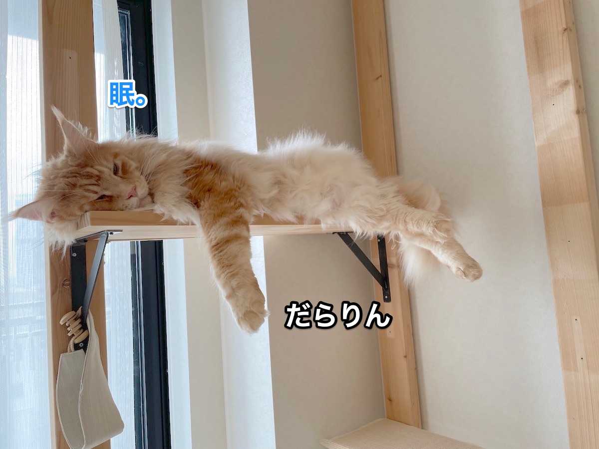 f:id:chikojirou:20210930215839j:plain