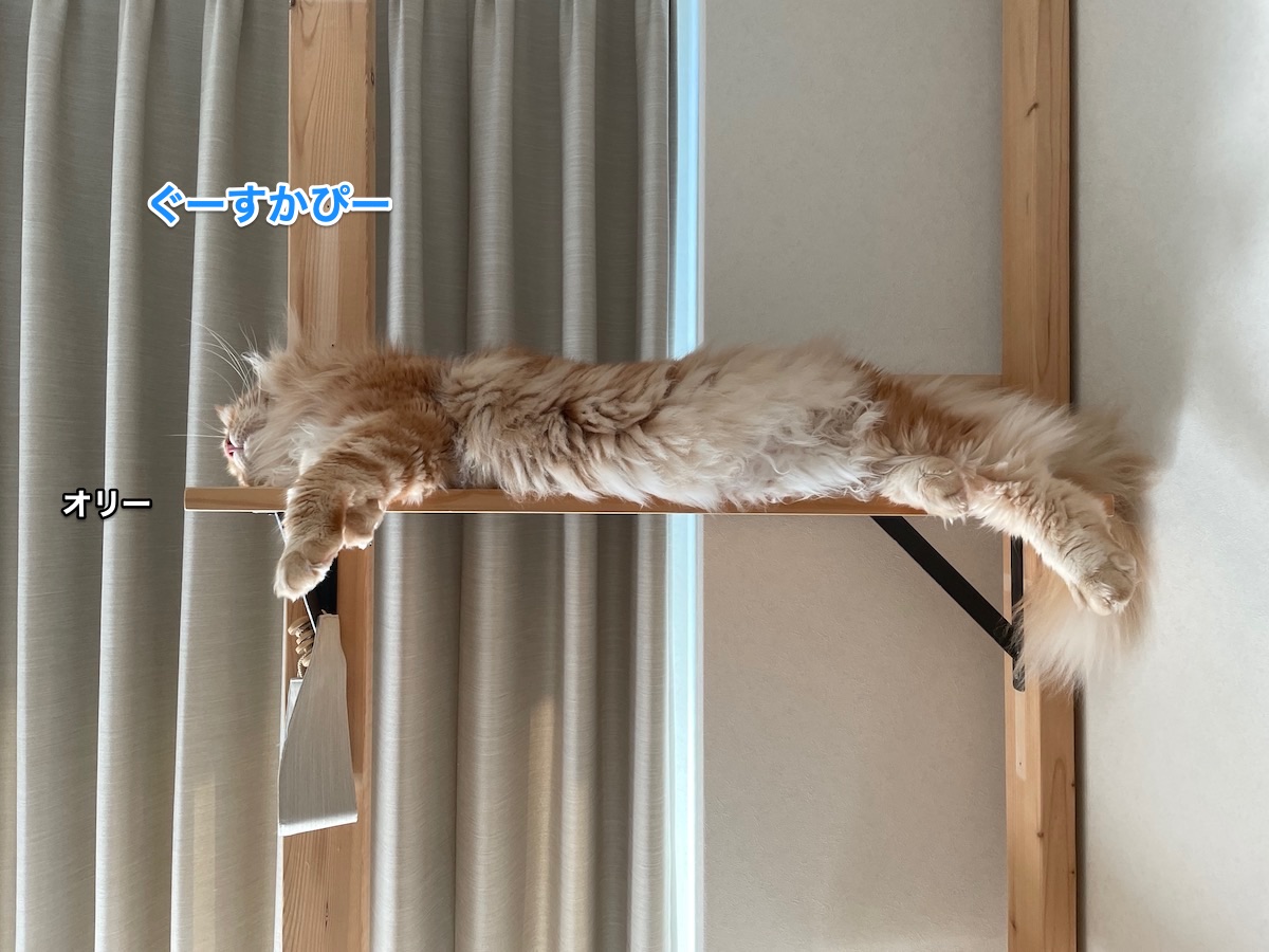 f:id:chikojirou:20211002194915j:plain