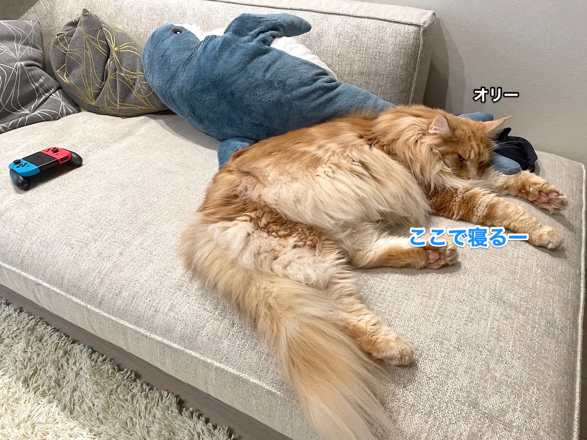 f:id:chikojirou:20211003200246j:plain