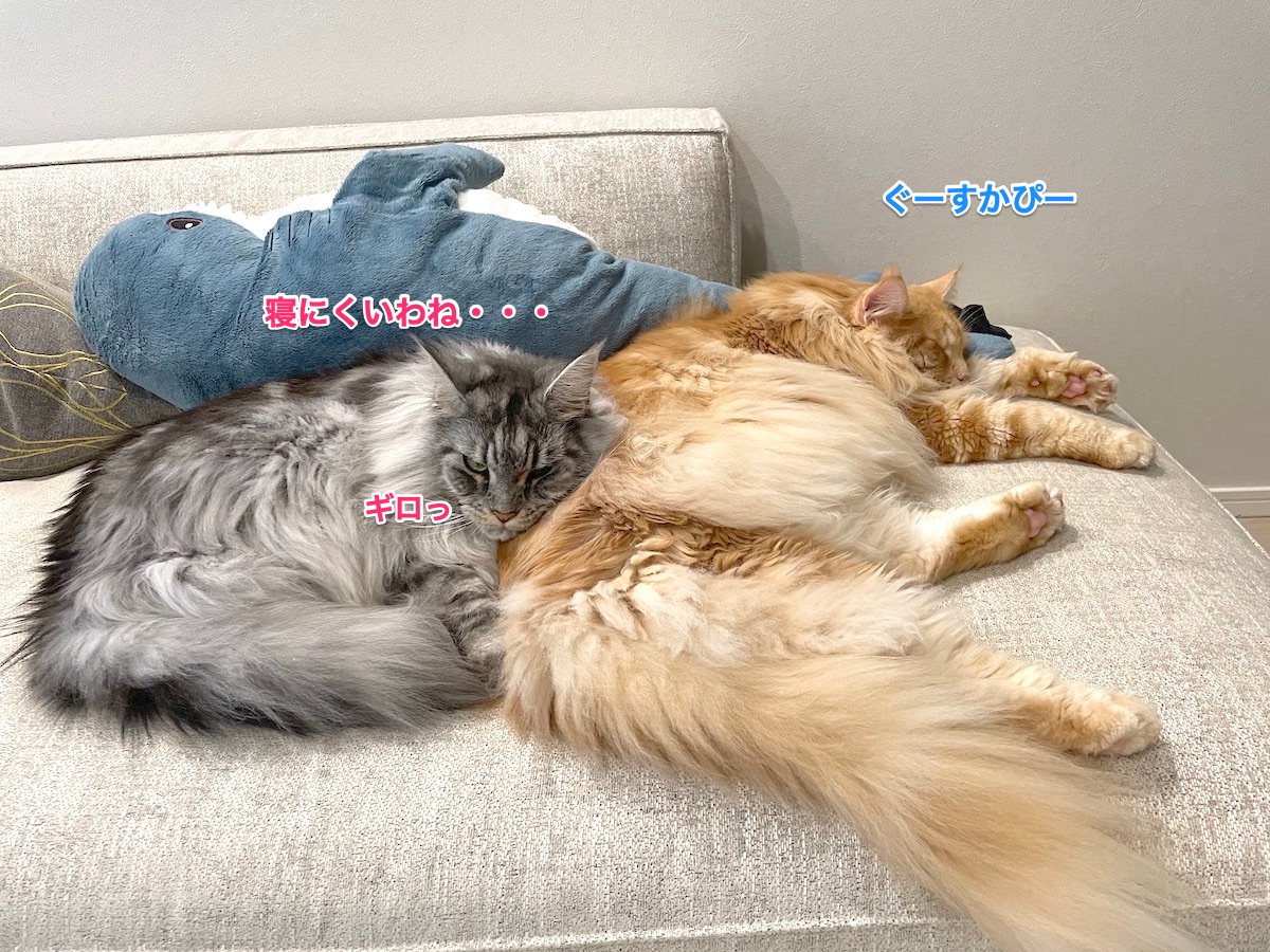 f:id:chikojirou:20211003200251j:plain