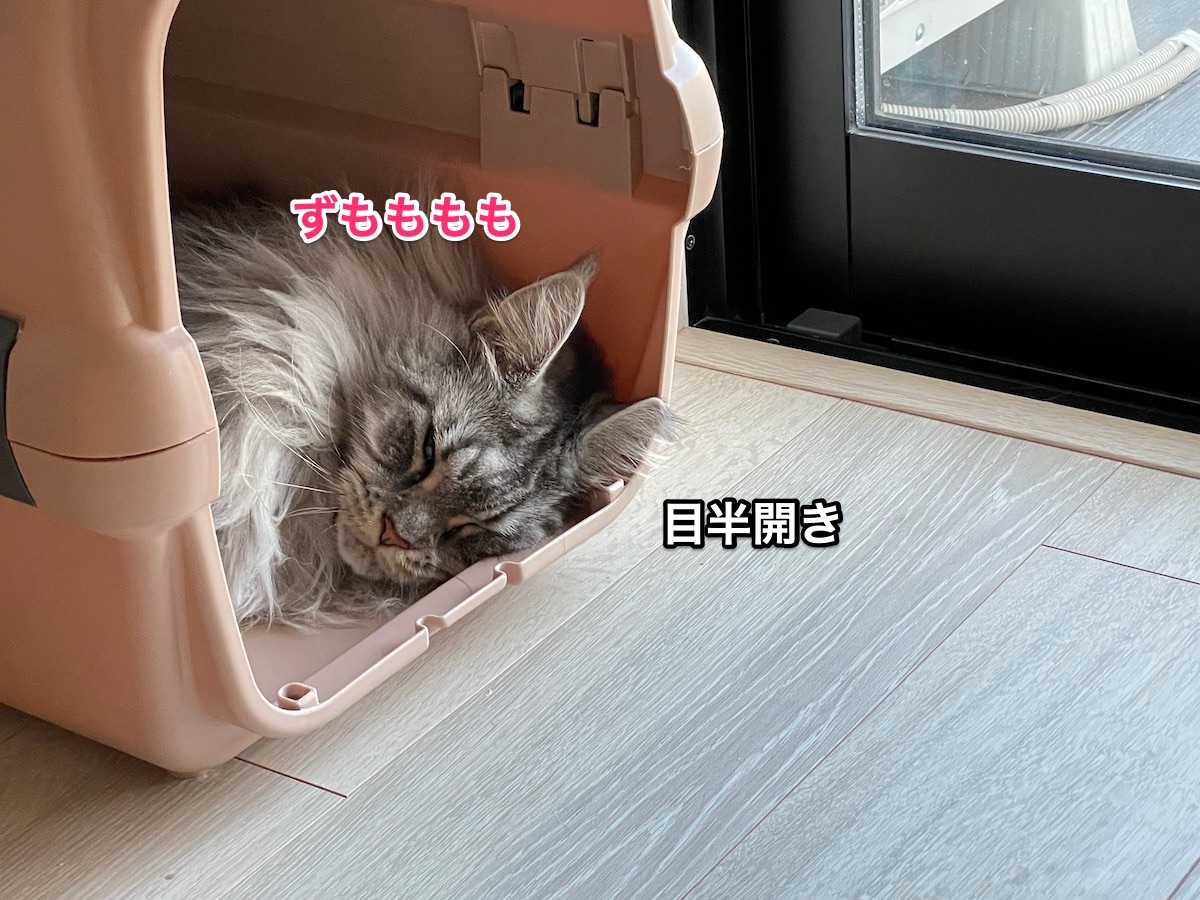 f:id:chikojirou:20211005211800j:plain