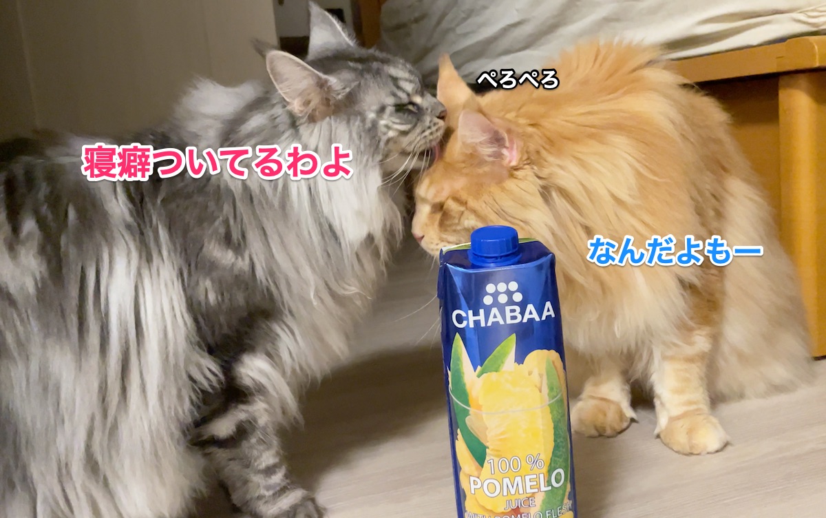 f:id:chikojirou:20211005211808j:plain