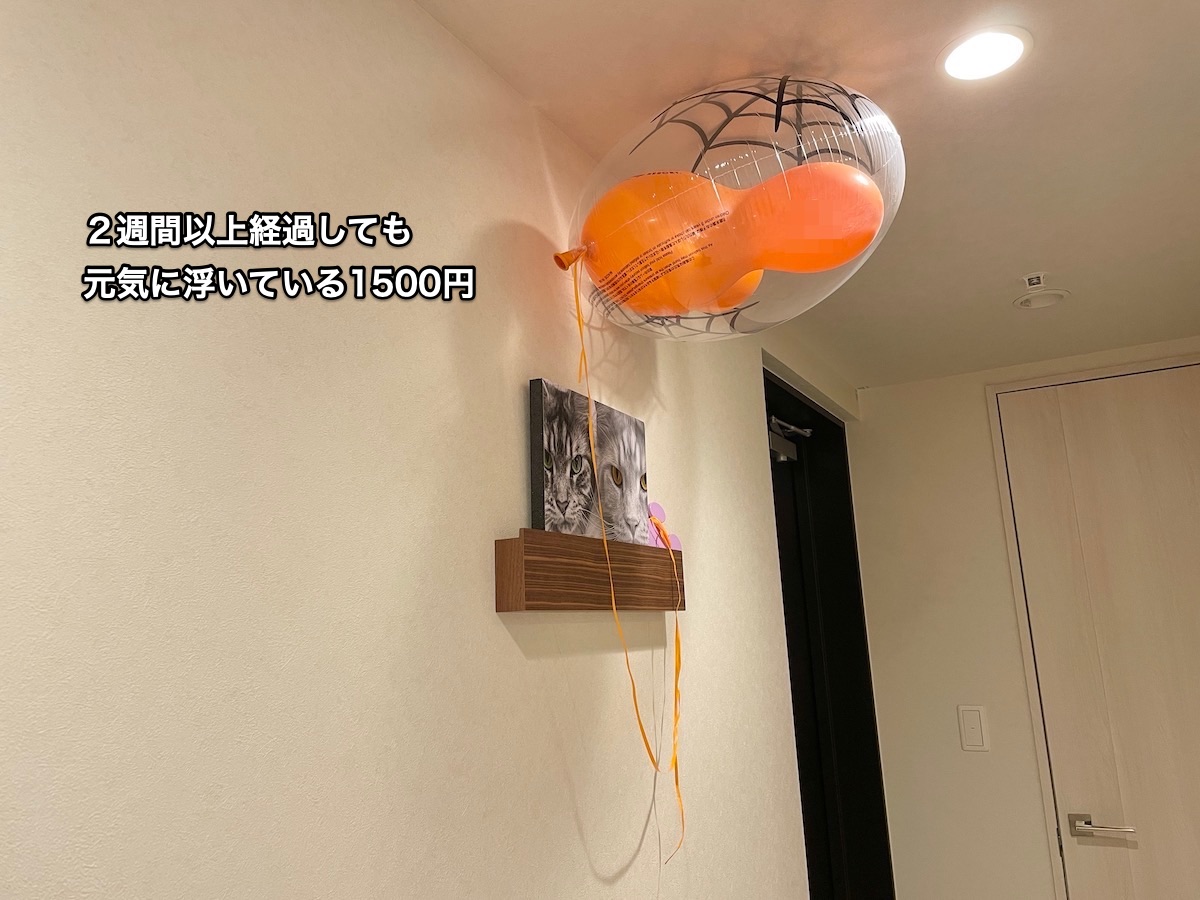 f:id:chikojirou:20211007204426j:plain