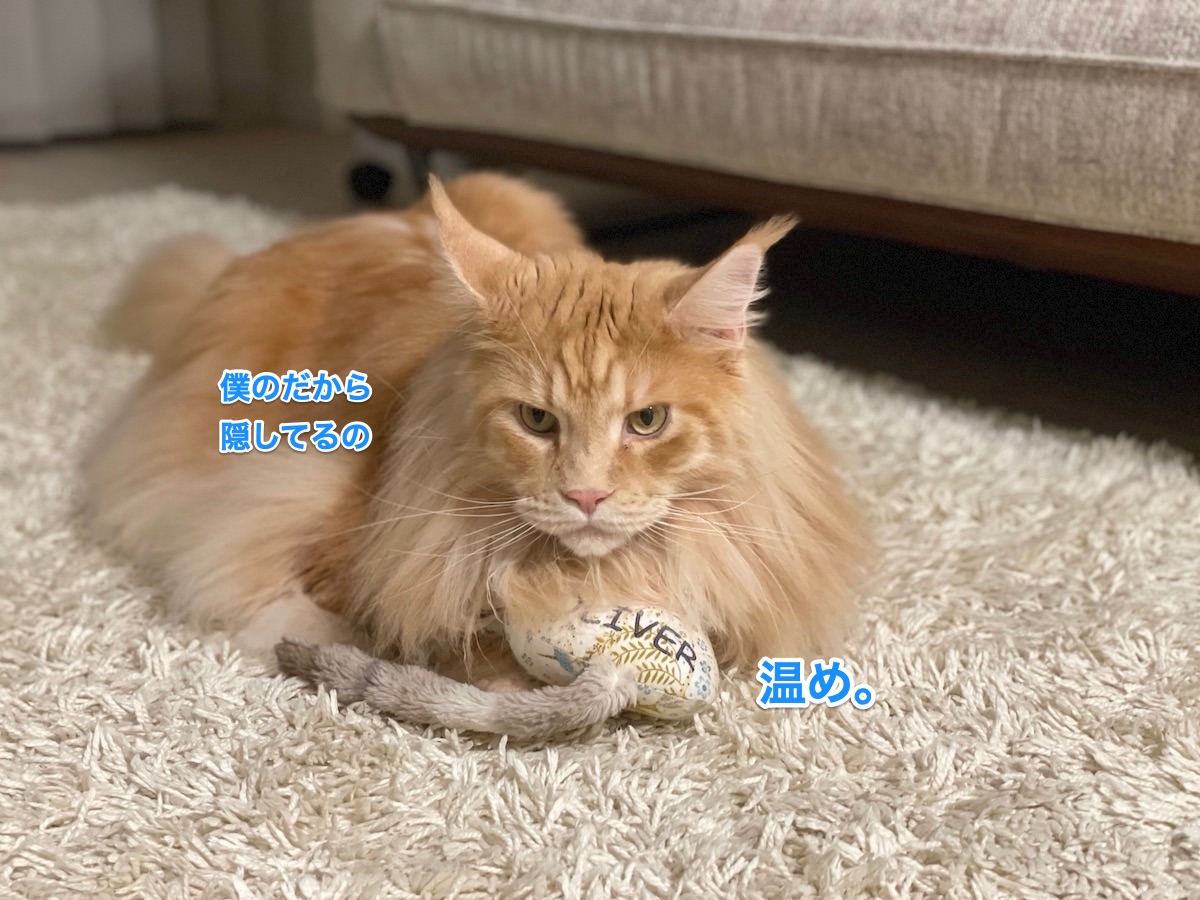 f:id:chikojirou:20211013210251j:plain