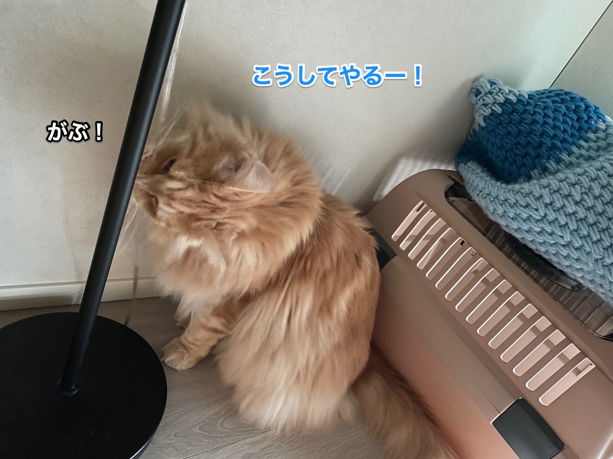f:id:chikojirou:20211018211529j:plain