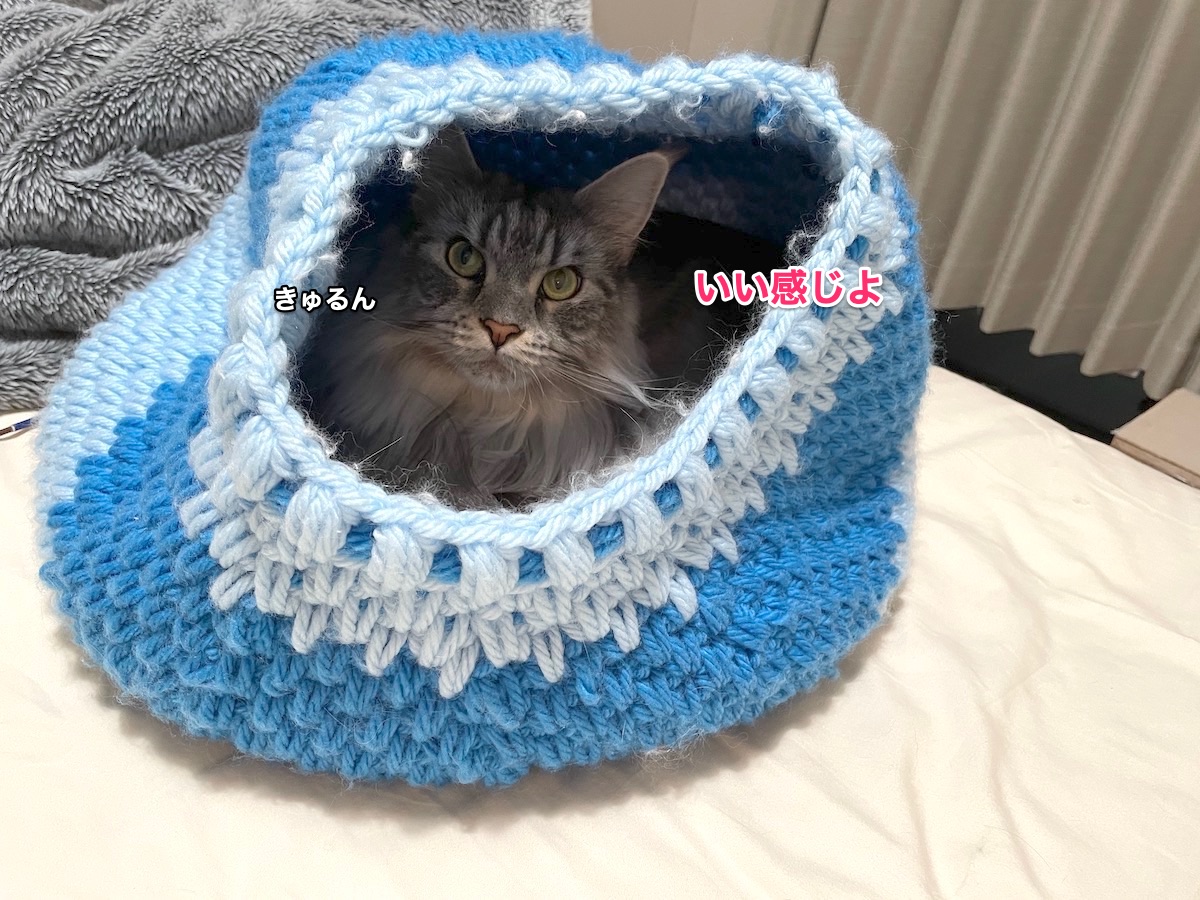 f:id:chikojirou:20211018211542j:plain