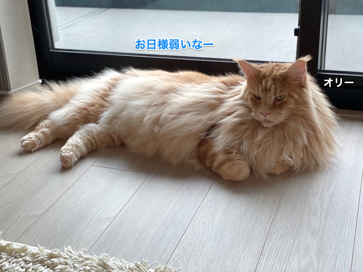 f:id:chikojirou:20211019213159j:plain