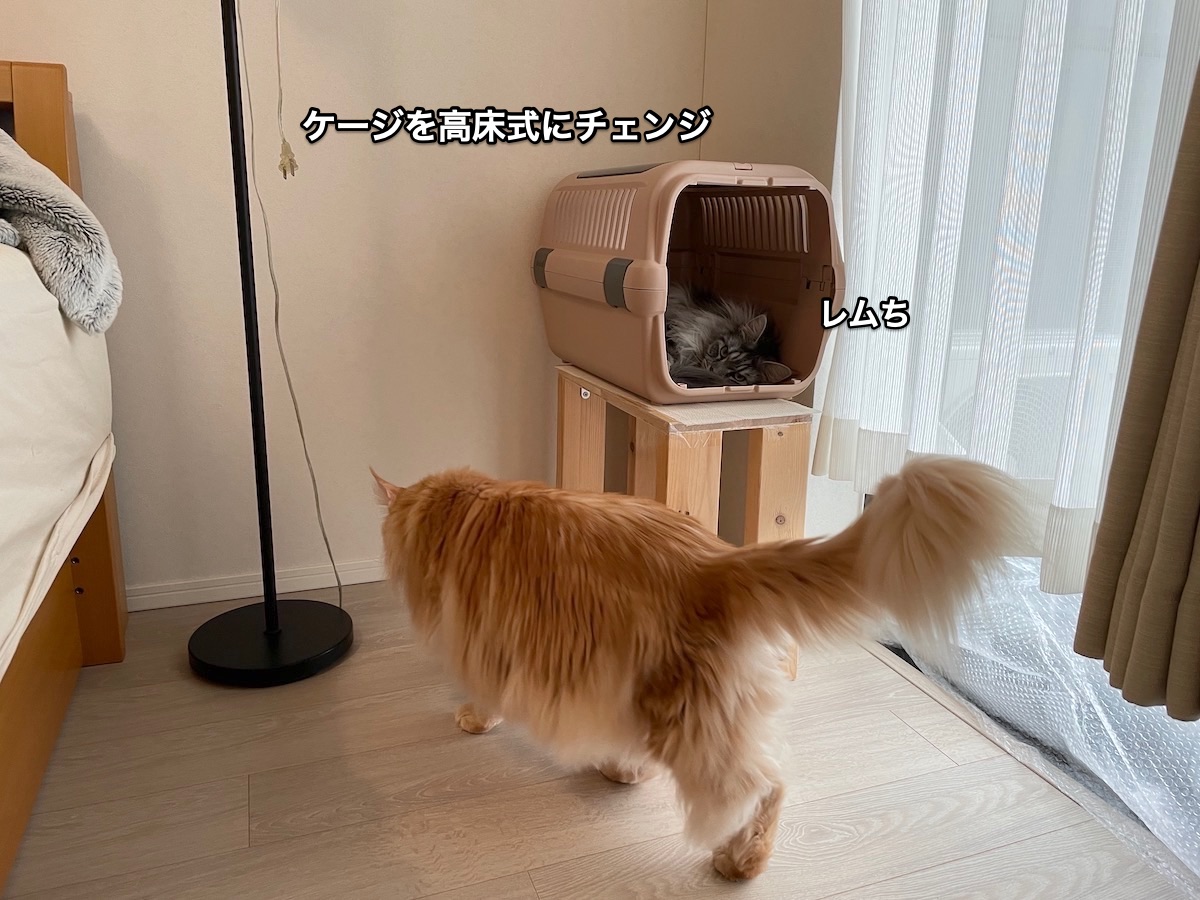 f:id:chikojirou:20211019213202j:plain