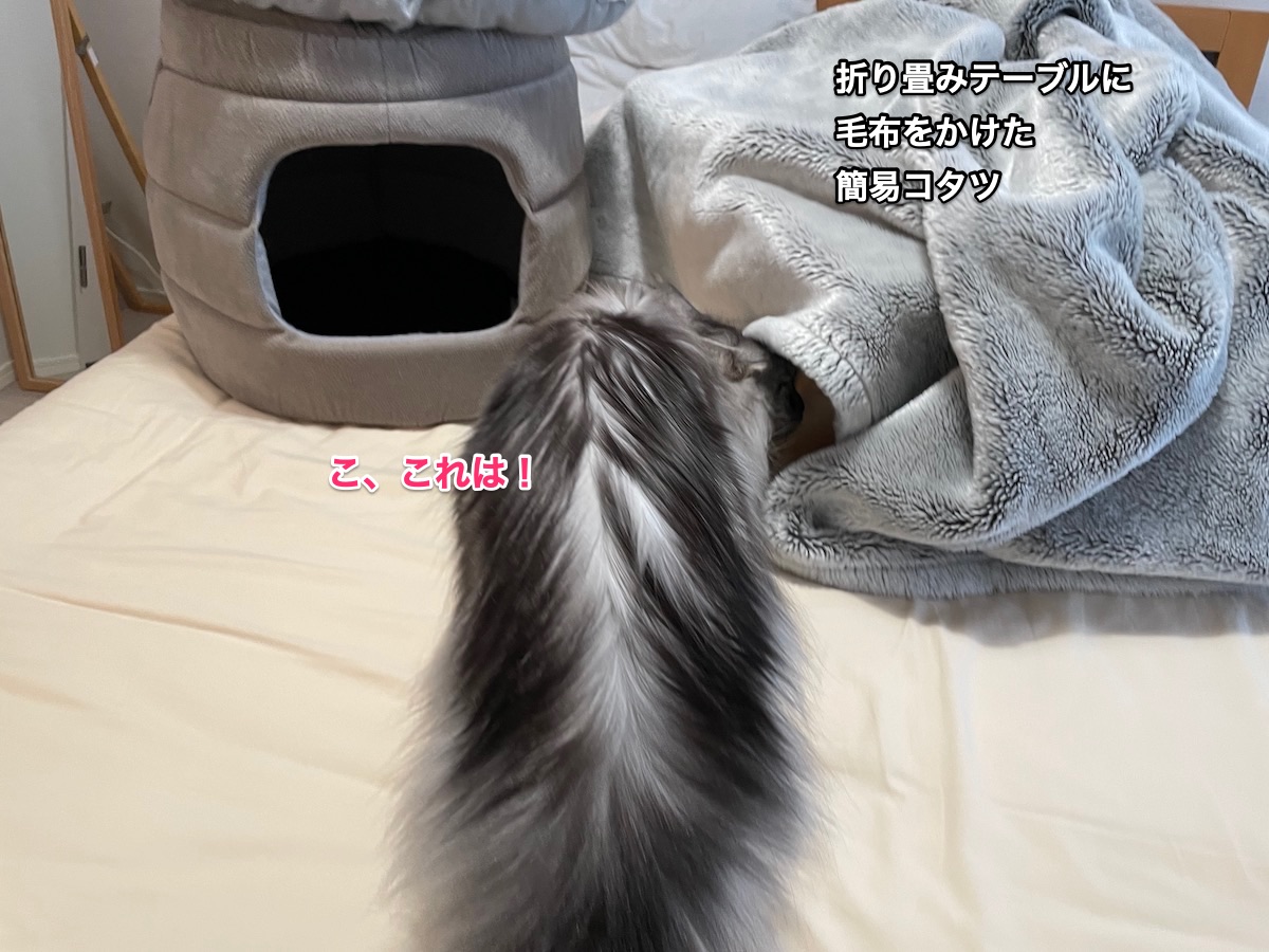 f:id:chikojirou:20211019213210j:plain