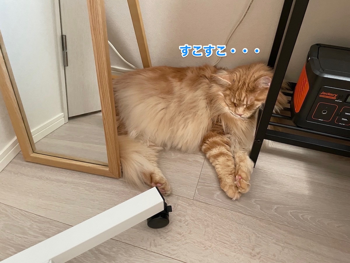 f:id:chikojirou:20211019213223j:plain