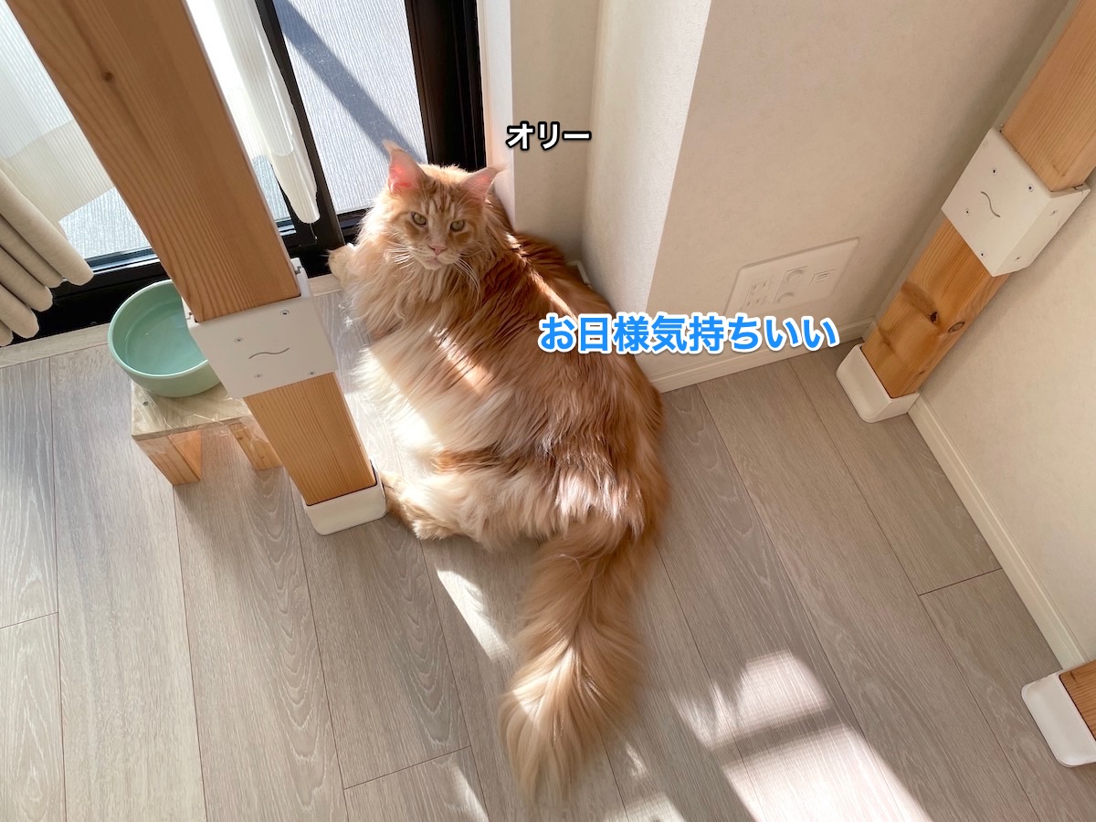 f:id:chikojirou:20211020210709j:plain