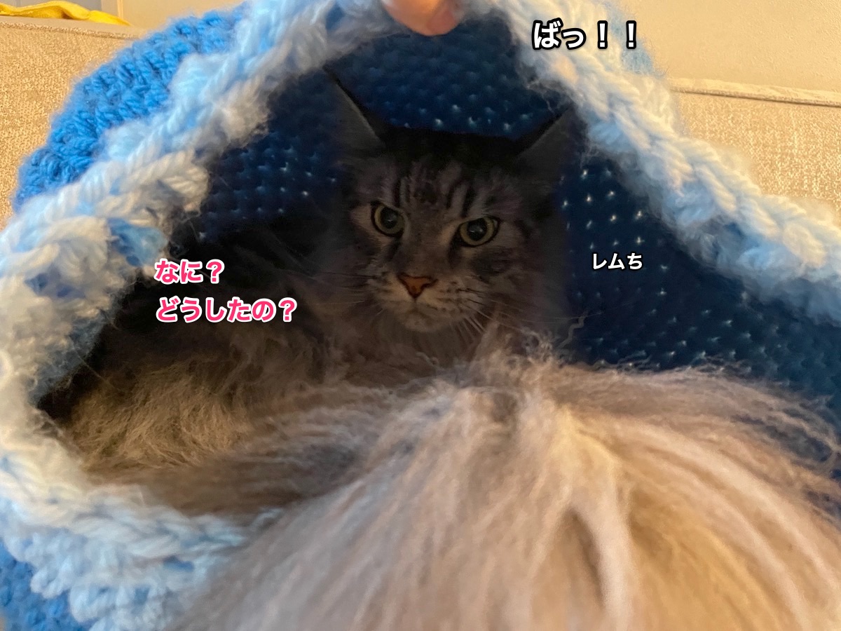 f:id:chikojirou:20211020210719j:plain