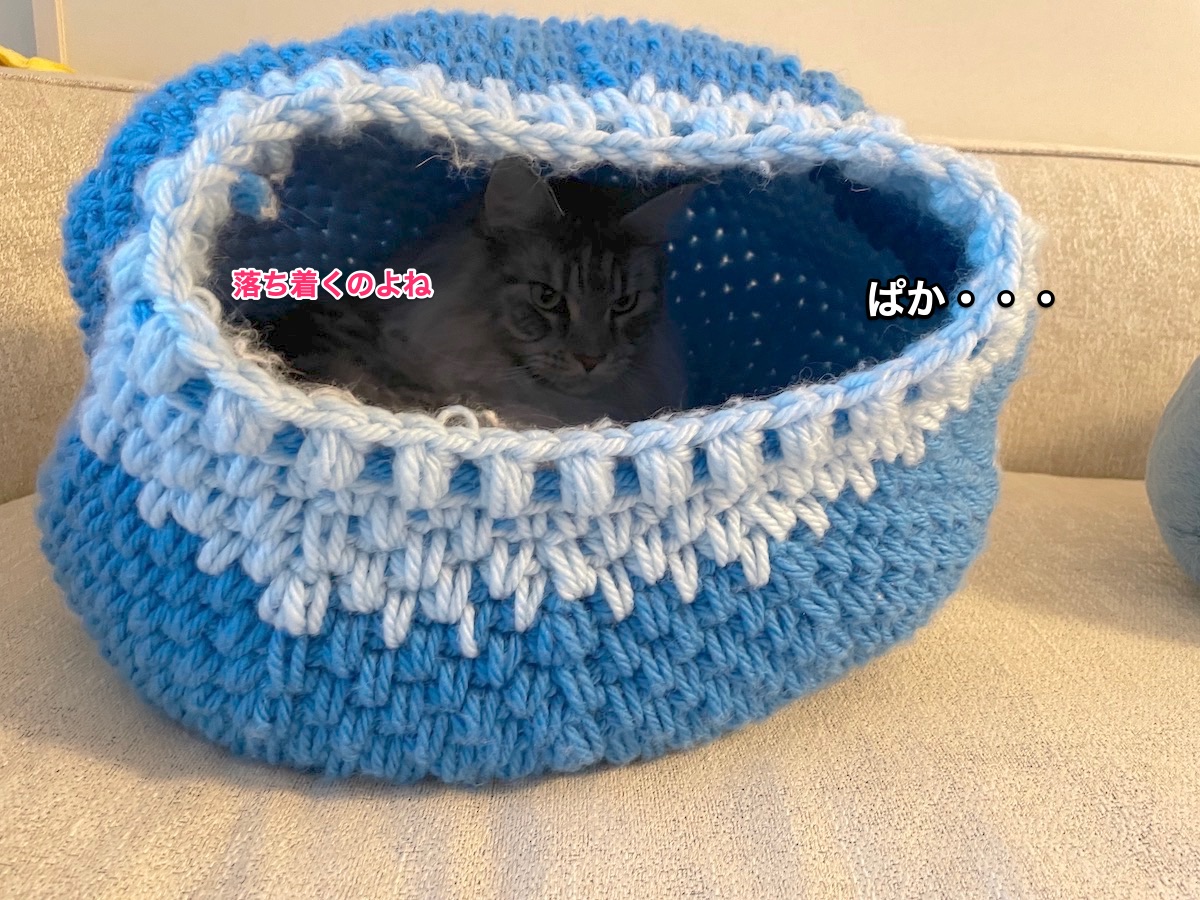 f:id:chikojirou:20211020210729j:plain