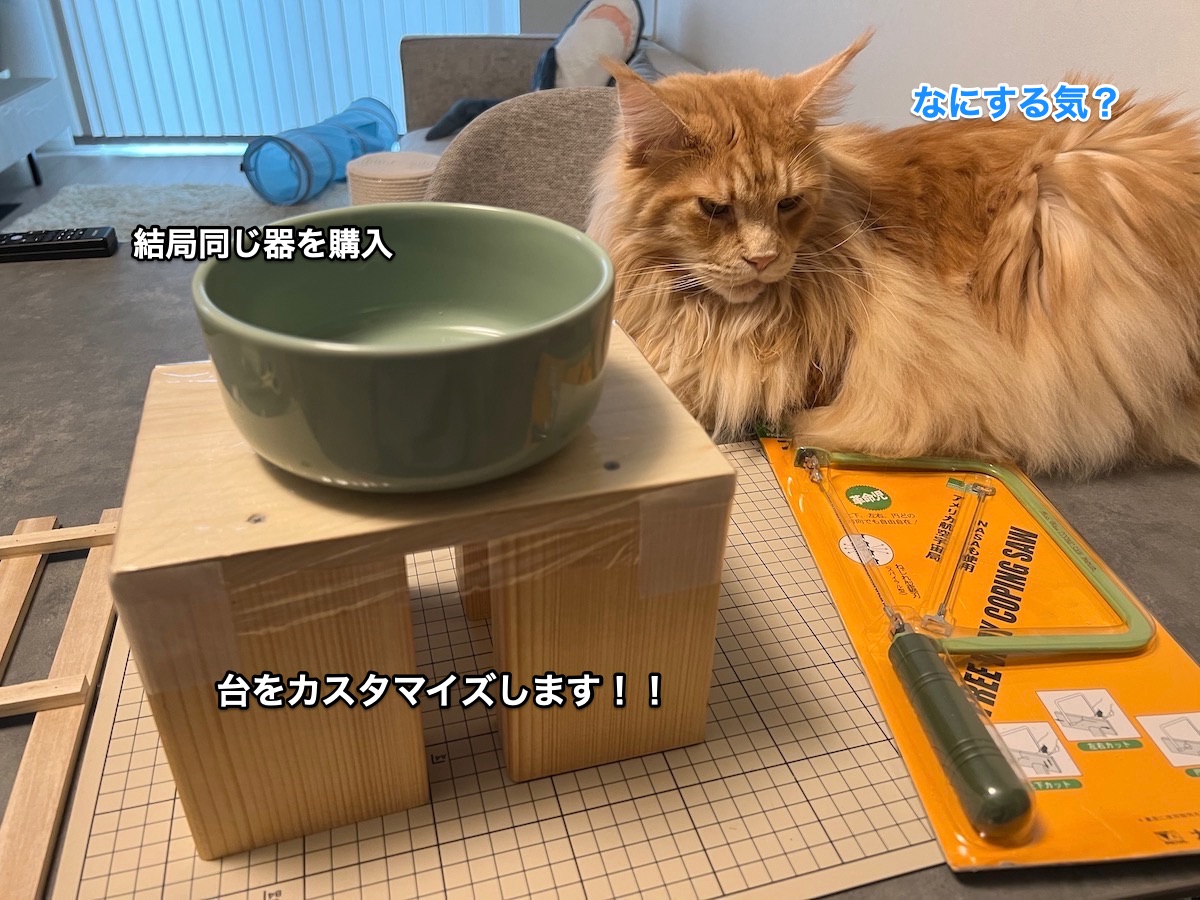 f:id:chikojirou:20211028212708j:plain
