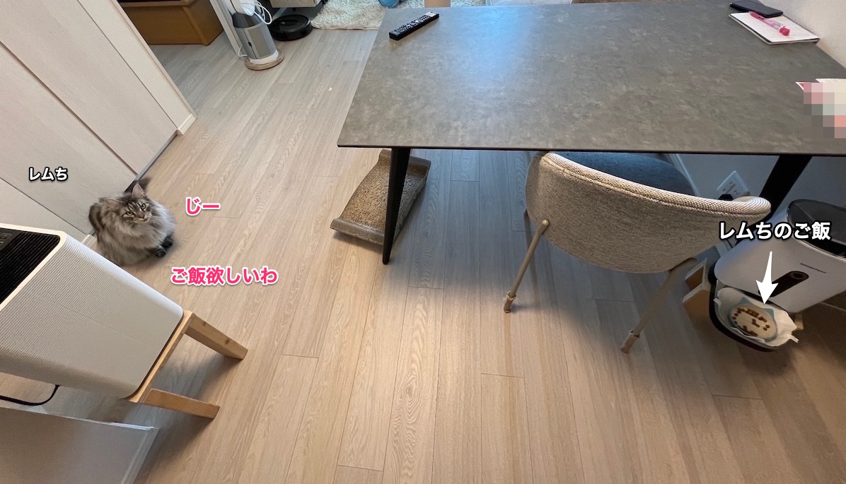 f:id:chikojirou:20211101212357j:plain