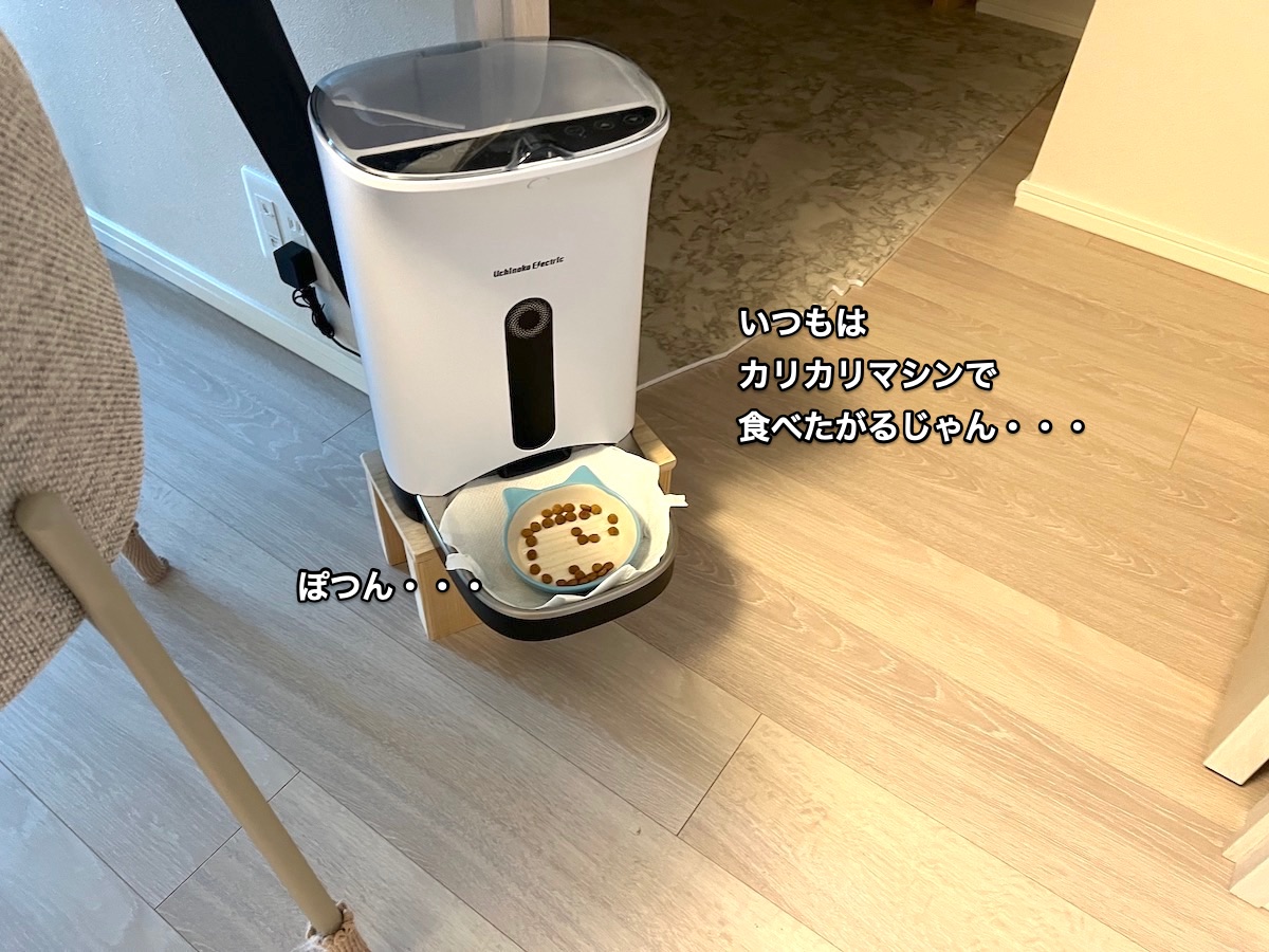 f:id:chikojirou:20211101212402j:plain