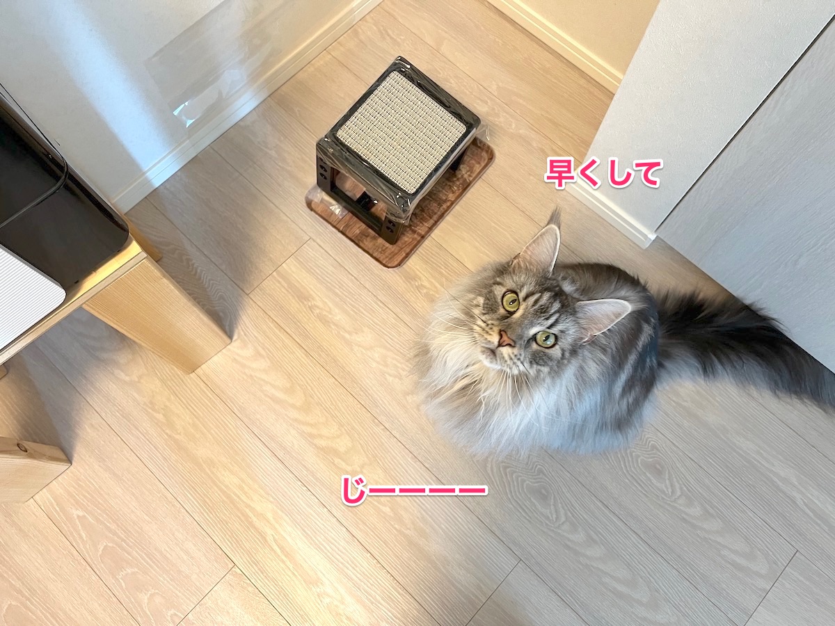 f:id:chikojirou:20211101212404j:plain