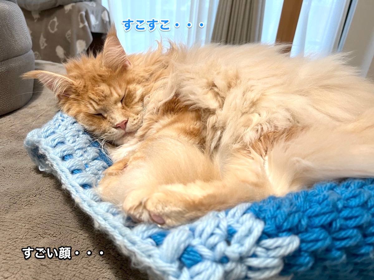 f:id:chikojirou:20211101212415j:plain