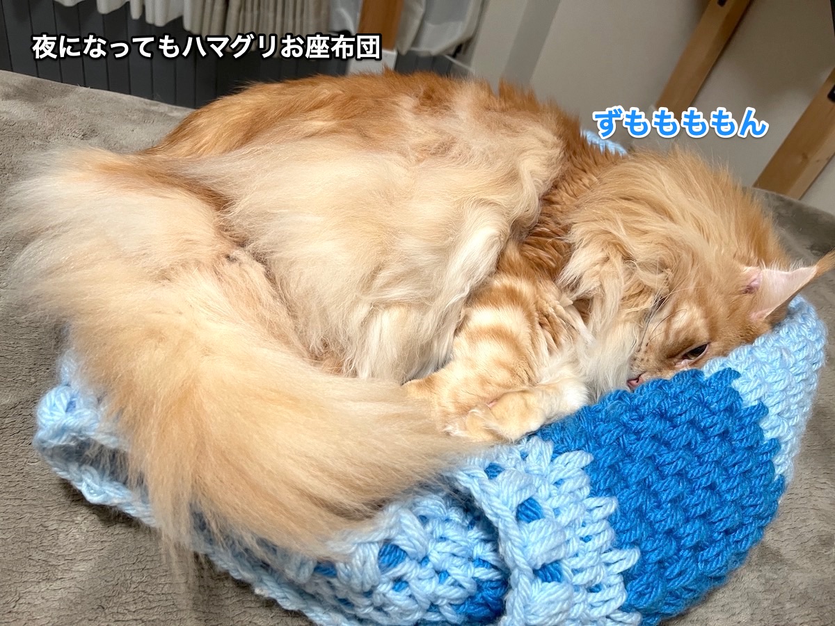 f:id:chikojirou:20211101212418j:plain