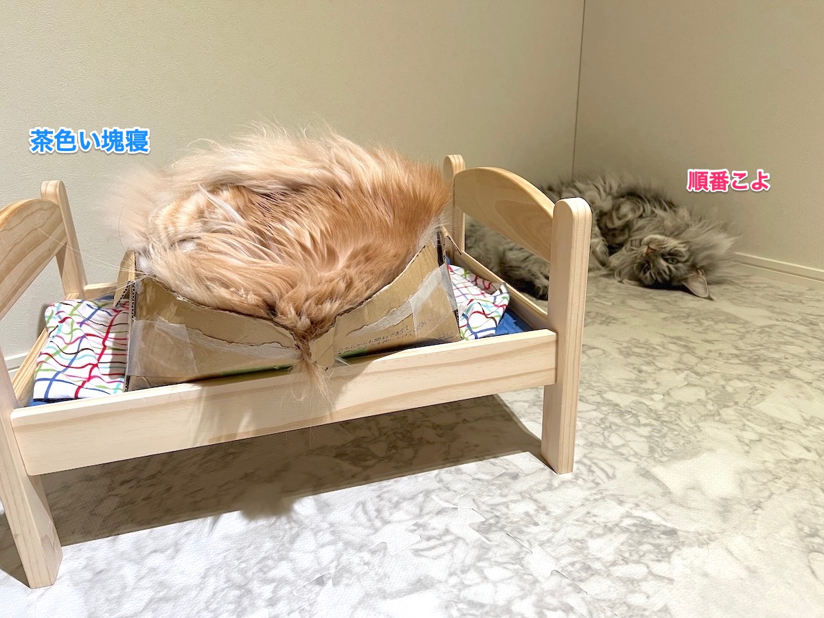 f:id:chikojirou:20211107205928j:plain